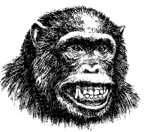 Grafik eines Affengesichts, das Angst ausdrückt